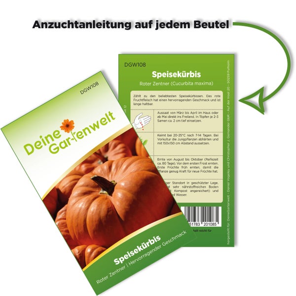 Samentüte für Speisekürbis Roter Zentner von Deine Gartenwelt mit Anzuchtanleitung auf der Rückseite.