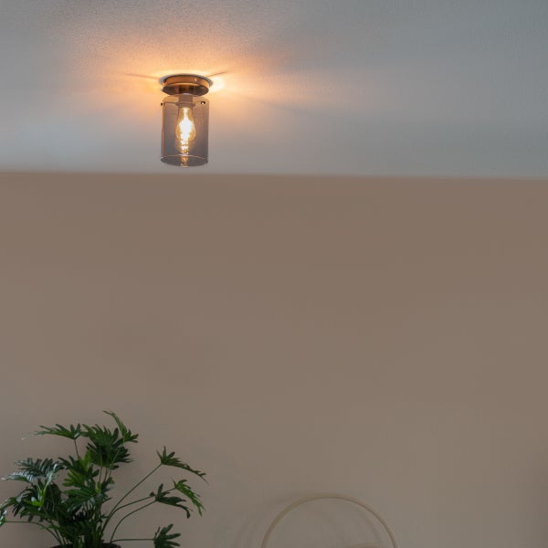 Zylindrische Deckenleuchte mit Rauchglaszylinder und sichtbarem Leuchtmittel an der Decke über einer Zimmerpflanze.