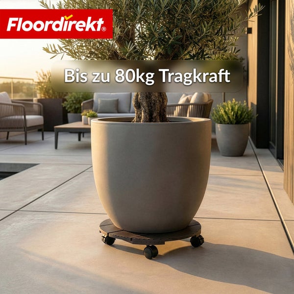 Pflanzenroller mit einer Tragkraft von bis zu 80 kg