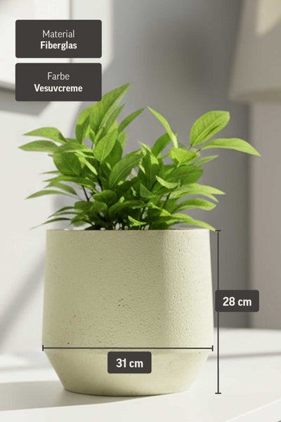 Blumentopf aus Fiberglas in Vesuvcreme, Höhe 28 Zentimeter, Durchmesser 31 Zentimeter, mit grüner Pflanze.