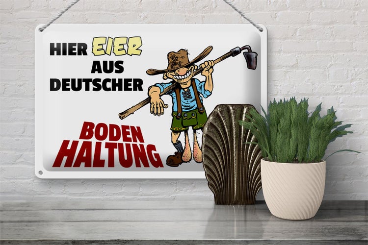 Blechschild Spruch 30x20cm hier Eier aus deutscher Bodenhaltung