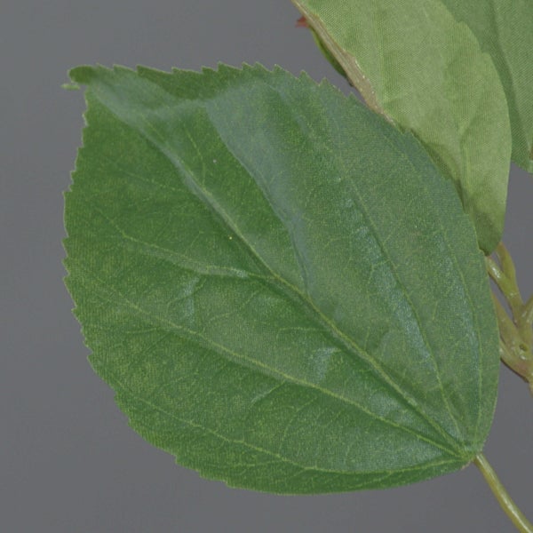 Grünes künstliches Blatt aus Textil mit Blattadern und gezacktem Rand.