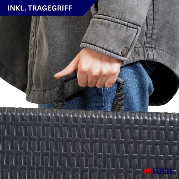 Person trägt eine Aufbewahrungsbox mit Tragegriff