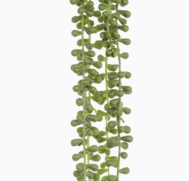 Künstliche hängende Sukkulente in Grün mit kleinen runden Blättern.