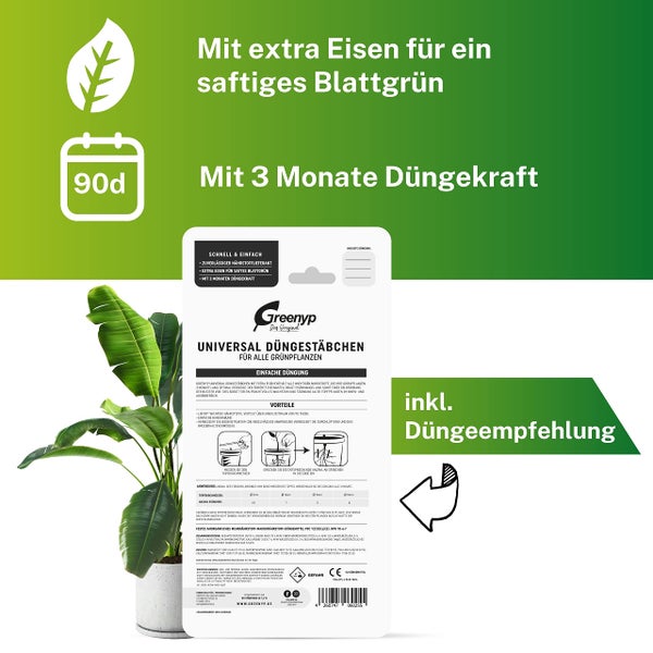Greenyp 100x Universaldünger Grünpflanzen Düngestäbchen für alle Grün- & Zimmerpflanzen I Langzeitdünger NPK Dünger mit Eisen und 3 Monate Düngekraft
