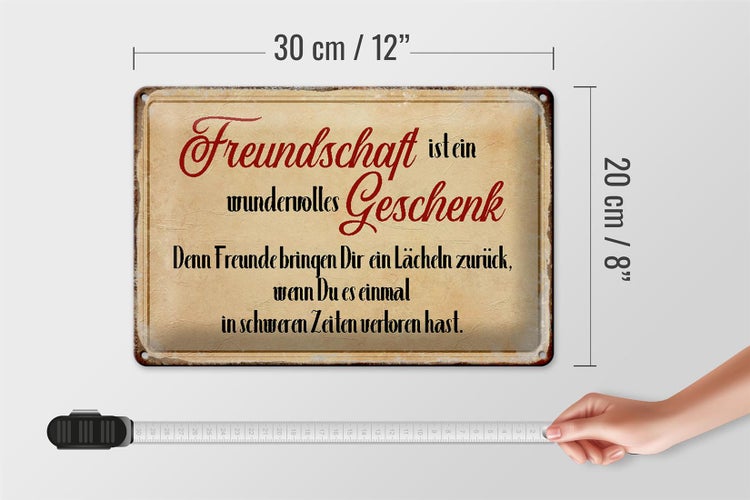 Blechschild Spruch 30x20cm Freundschaft ist ein wundervolles