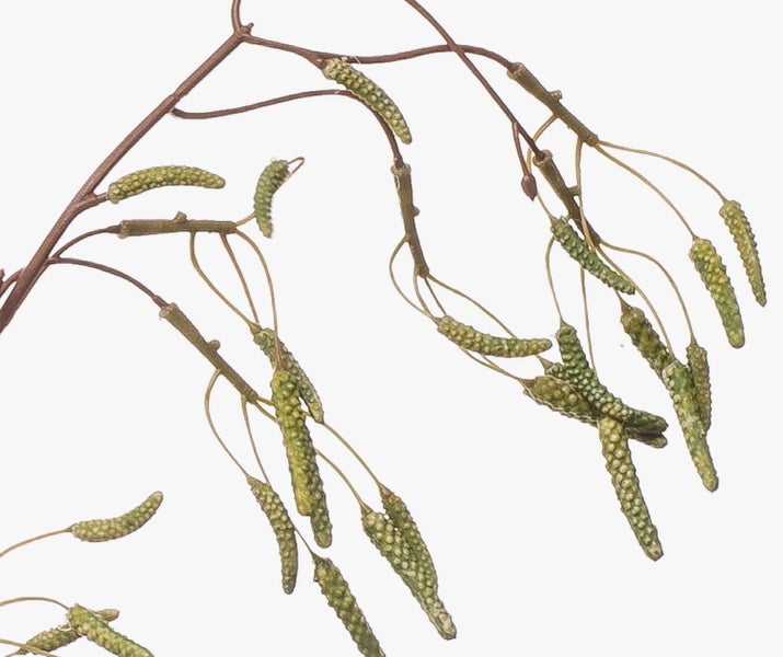 Künstlicher Zweig mit Kätzchen, brauner Ast mit grünen Blütenständen für die Frühlingsdekoration.