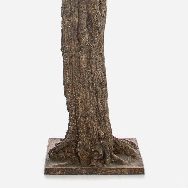 Detailansicht einer Pflanze mit länglichen, grün-gelb gemusterten Blättern.