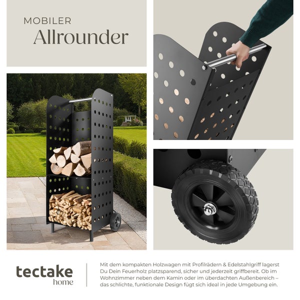 Thymian Pflanze im Topf