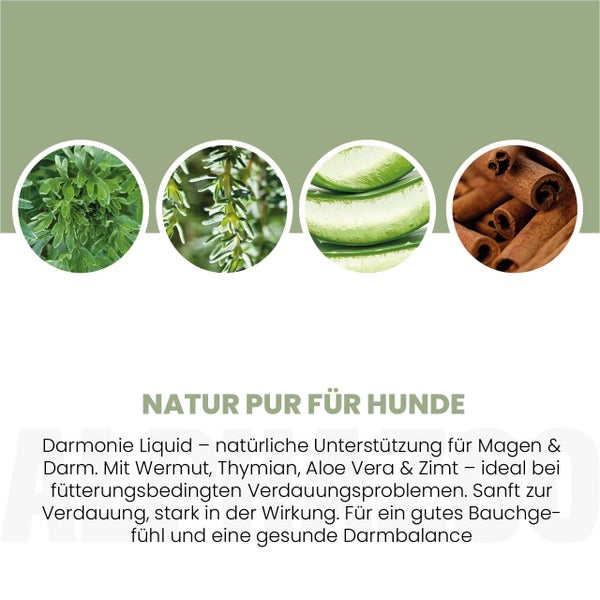 alphazoo Früher Vogel Liquid Hunde 100ml