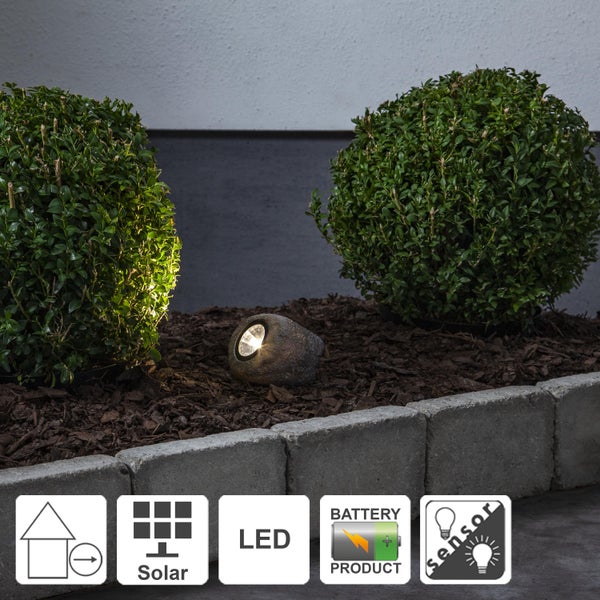 Garten Szene mit Solarleuchte in Steinoptik zwischen zwei Buchsbaumkugeln