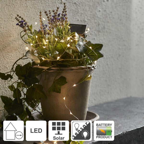 Dekorative Pflanze mit LED Solar Lichterkette im Topf