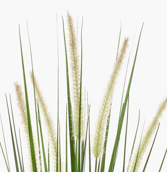 Künstliche Graspflanze mit cremefarbenen flauschigen Blütenähren und grünen Grashalmen.