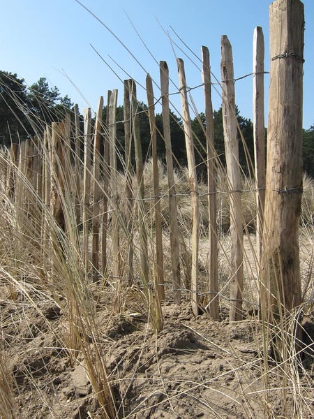 Holzzaun zur Grundstücksbegrenzung