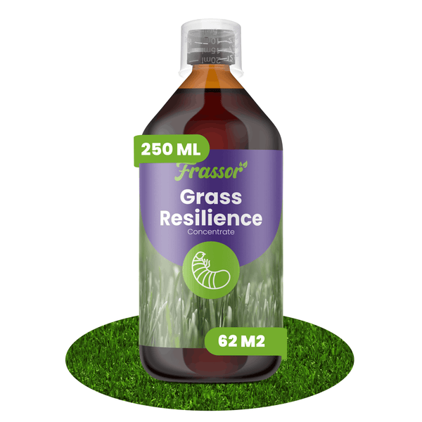Frassor Grass Resilience Konzentrat zur Rasenstärkung, 250 Milliliter Flasche, ausreichend für 62 Quadratmeter Rasenfläche.
