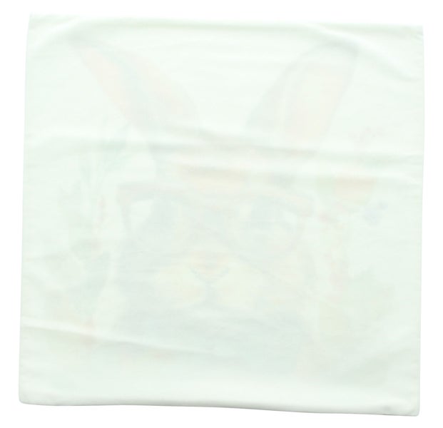 FRANK FLECHTWAREN|Kissenhülle Professor Hase, 45 x 45 cm, POLYESTER