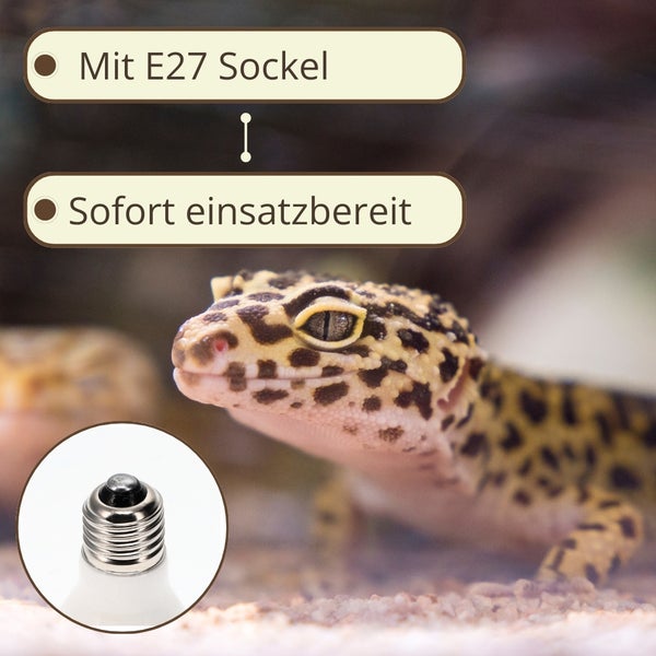 Produktmerkmale: Mit E27 Sockel, sofort einsatzbereit
