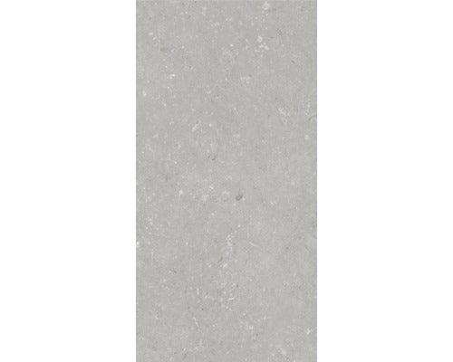Wand- und Bodenfliese Shellstone grigio 60x120cm