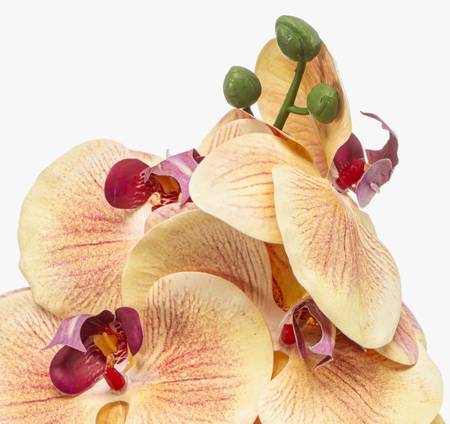 Nahaufnahme einer künstlichen Orchidee mit gelben Blüten mit rötlicher Maserung und grünen Knospen