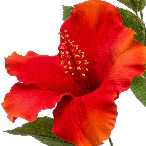 Künstlicher brauner Birkenzweig mit grünen Kätzchen für die Dekoration.