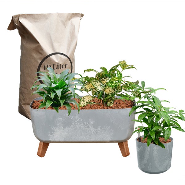Pflanzgefäß mit Pflanzen und 10 Liter Sack Pflanzerde