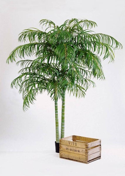 Künstliche Palme mit zwei Stämmen in einem schwarzen Topf neben einer Holzkiste.