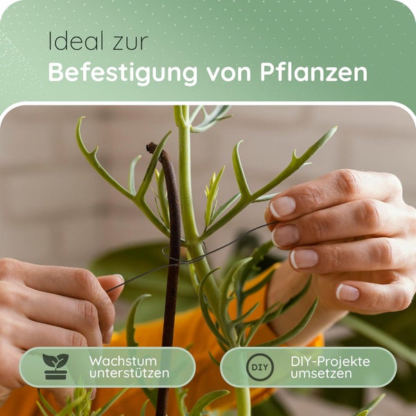 Hände binden Pflanze mit Draht an Stab. Ideal zur Befestigung von Pflanzen, Wachstum unterstützen, Do-it-yourself-Projekte umsetzen.