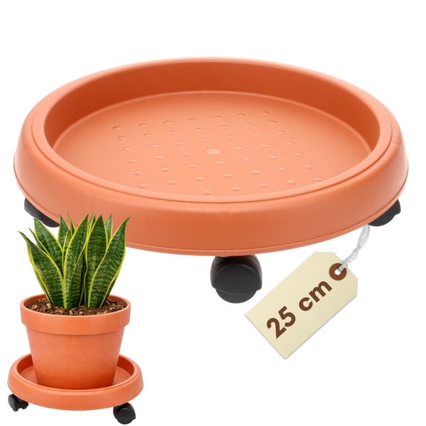 Pflanzenroller aus Kunststoff mit Pflanze im Topf und einem Durchmesser von 25 Zentimetern
