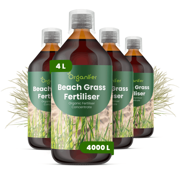 Organifer Strandhafer-Dünger, 4 Liter organisches Düngerkonzentrat in vier Flaschen.
