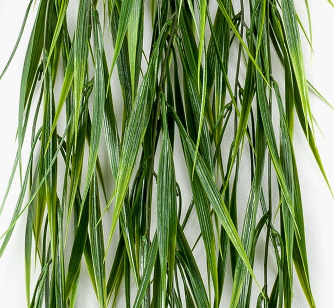 Künstliche Hängepflanze Bambus mit langen grünen Blättern aus Kunststoff.