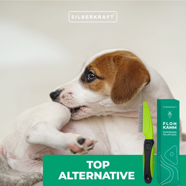 SILBERKRAFT Sensitiv Shampoo für Pferde & Fohlen – Milde Pflegeformel für empfindliche Tierhaut – Ohne Farbstoffe & Sulfate – Mit Aloe Vera & Vitamin E