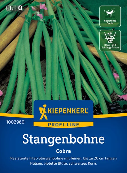 Saatgut für Kiepenkerl Profi Line Stangenbohne Cobra mit resistenten Sorteneigenschaften und Rankpflanzencharakter.