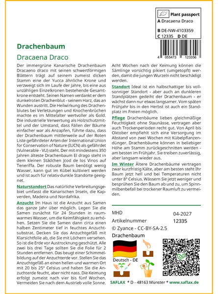 SAFLAX Garden to go - Drachenbaum - Dracaena Draco - 5 Samen - Mit Topf, Klima - Deckel und Anzuchtsubstrat