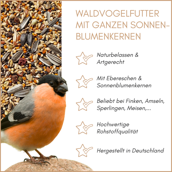Wandrosette mit Wetterschutzhaube und Insektenschutzgitter für Abluft