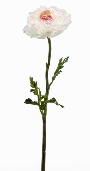 Künstliche Ranunkel mit weiß-rosa Blüte und grünem Stiel mit Blättern.
