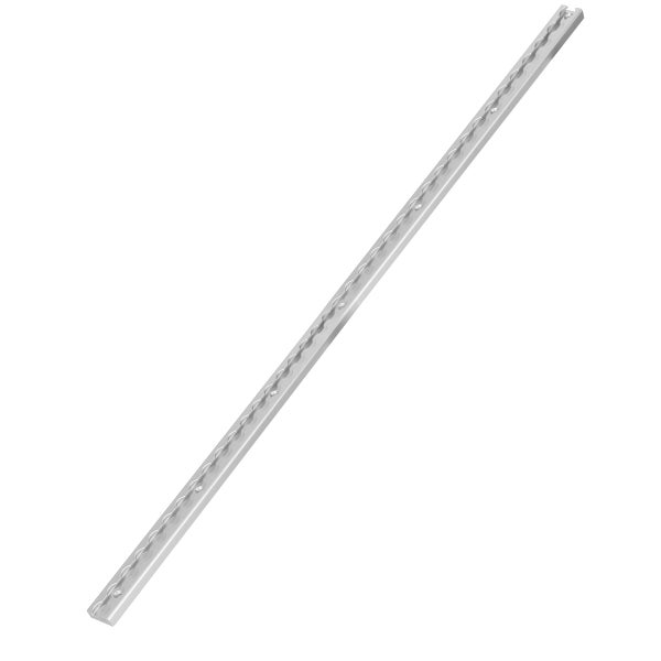 Zurrschiene 100 cm Airlineschiene Befestigungsschiene aus Aluminium