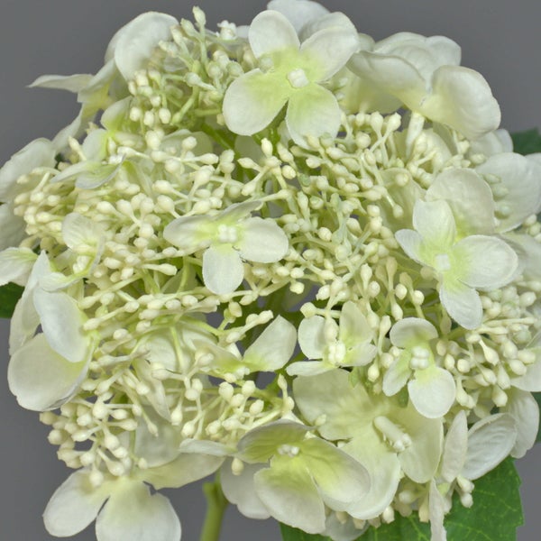 Künstliche Hortensie aus Textilmaterial mit weißen Blüten und Knospen.