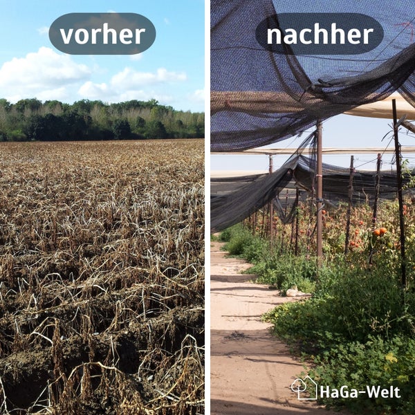 HaGa Schattiernetz 60% in 3m Breite – Sonnenschutz Sichtschutz Schattierung für Pflanzen & Beete
