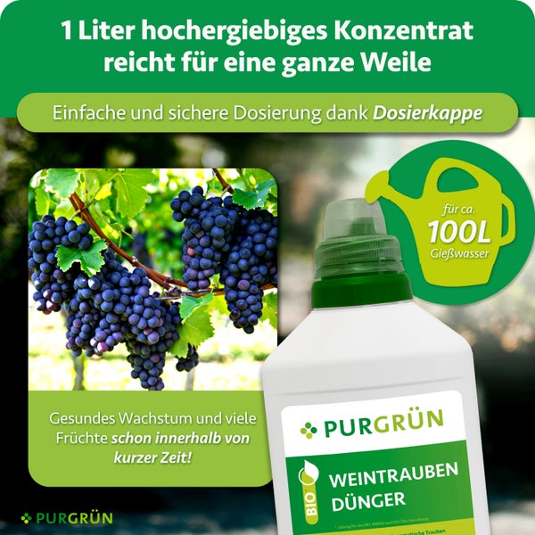 PURGRÜN Weintraubendünger Bio-Konzentrat in einer 1 Liter Flasche mit Dosierkappe für bis zu 100 Liter Gießwasser für kräftige Weinreben.