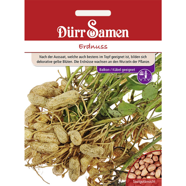 Mr. und Mrs. Panda Adventskalender mit Igelmotiv und dem Spruch: Mit dir ist kein Weg zu steinig, kein Tag mehr grau und kein Ziel mehr unerreichbar