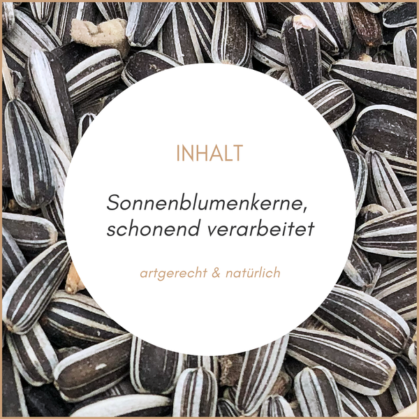 Gestreifte Sonnenblumenkerne als artgerechtes und natürliches Futter für Tiere.