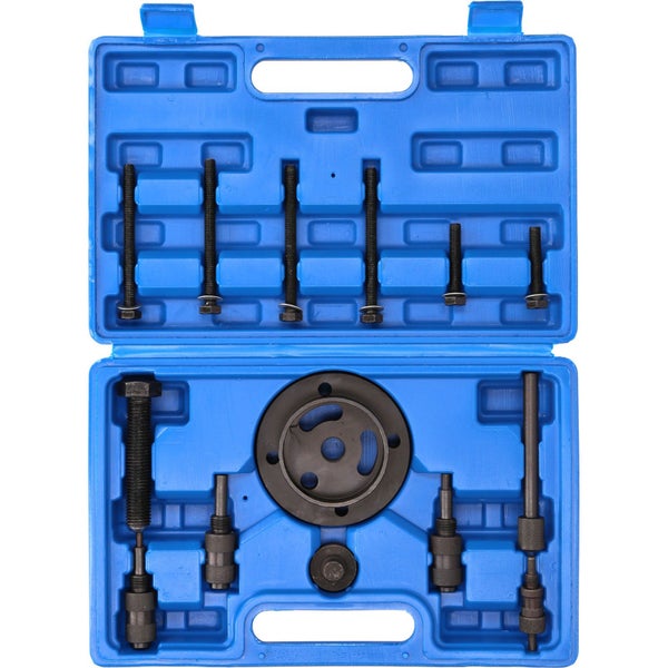BRILLIANT TOOLS Motor-Einstellwerkzeug für Jaguar - BT593200