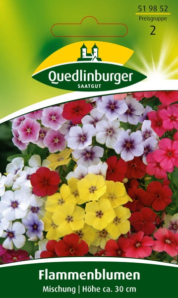 Samentüte für Flammenblumen Mischung von Quedlinburger Saatgut mit einer Wuchshöhe von circa 30 Zentimetern. Quedlinburger Saatgut Logo.