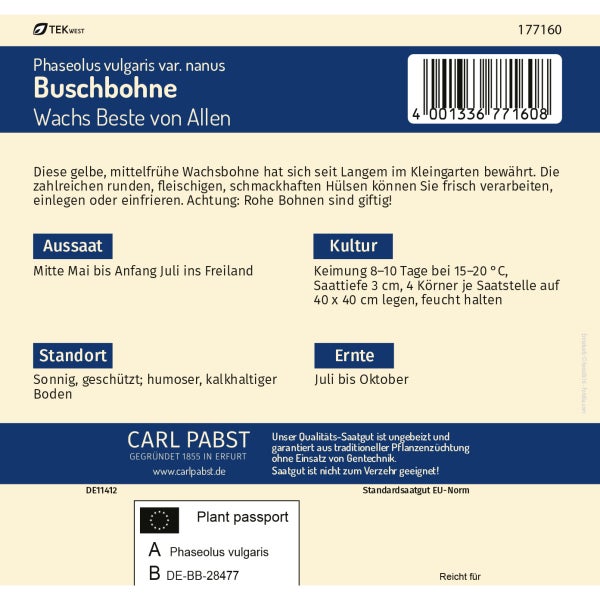 Buschbohne mittelfrüh & robust Wachs Beste von Allen Samen von Pabst Keimkraft