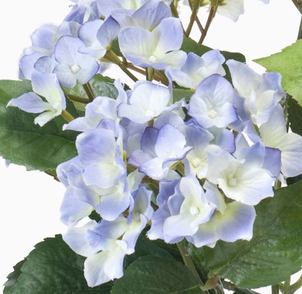 Künstliche Hortensie mit blauen und weißen Blüten sowie grünen Blättern.
