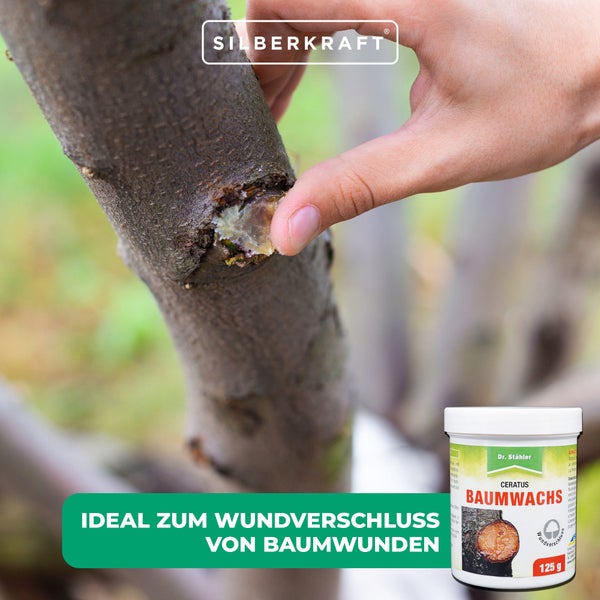 Ceratus Baumwachs – Veredelungs- & Wundverschlussmittel für Obst- & Ziergehölze – Schutz vor Feuchtigkeit & Austrocknung – Ganzjährig anwendbar