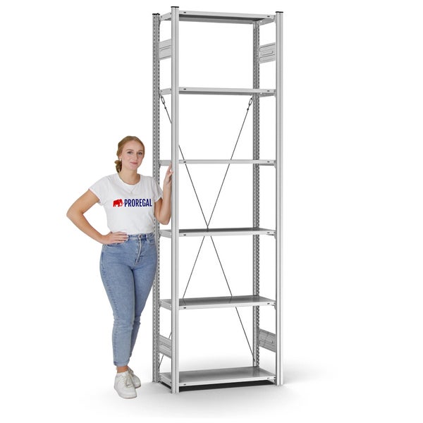 PROREGAL Profi Lagerregal Stecksystem T-Profil Grundregal HxBxT 250 x 75 x 30 cm Fachlast 125 kg Verzinkt