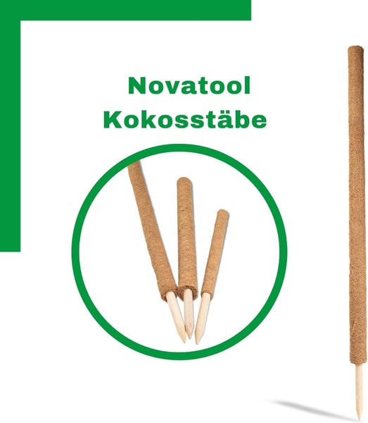 Novatool Kokosstäbe als Rankhilfe für Kletterpflanzen, aus Kokosfaser mit Holzspitze in verschiedenen Längen.