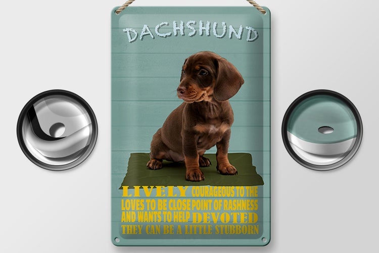 Blechschild Spruch 20x30cm Dachshund Hund lively devoted