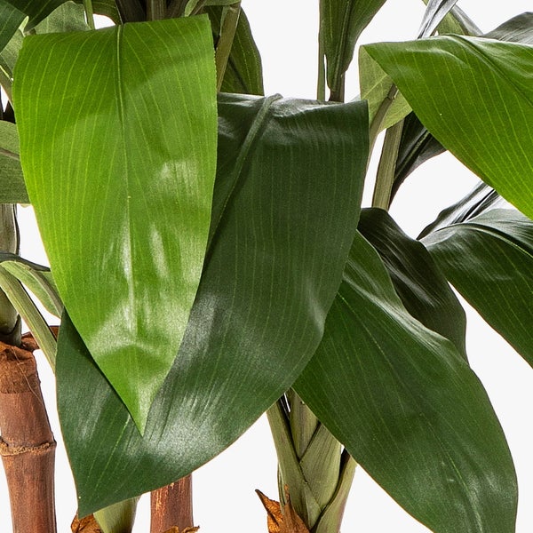 Detailansicht einer Kunstpflanze mit strukturierten braunen Stämmen in einem schwarzen Kunststofftopf.